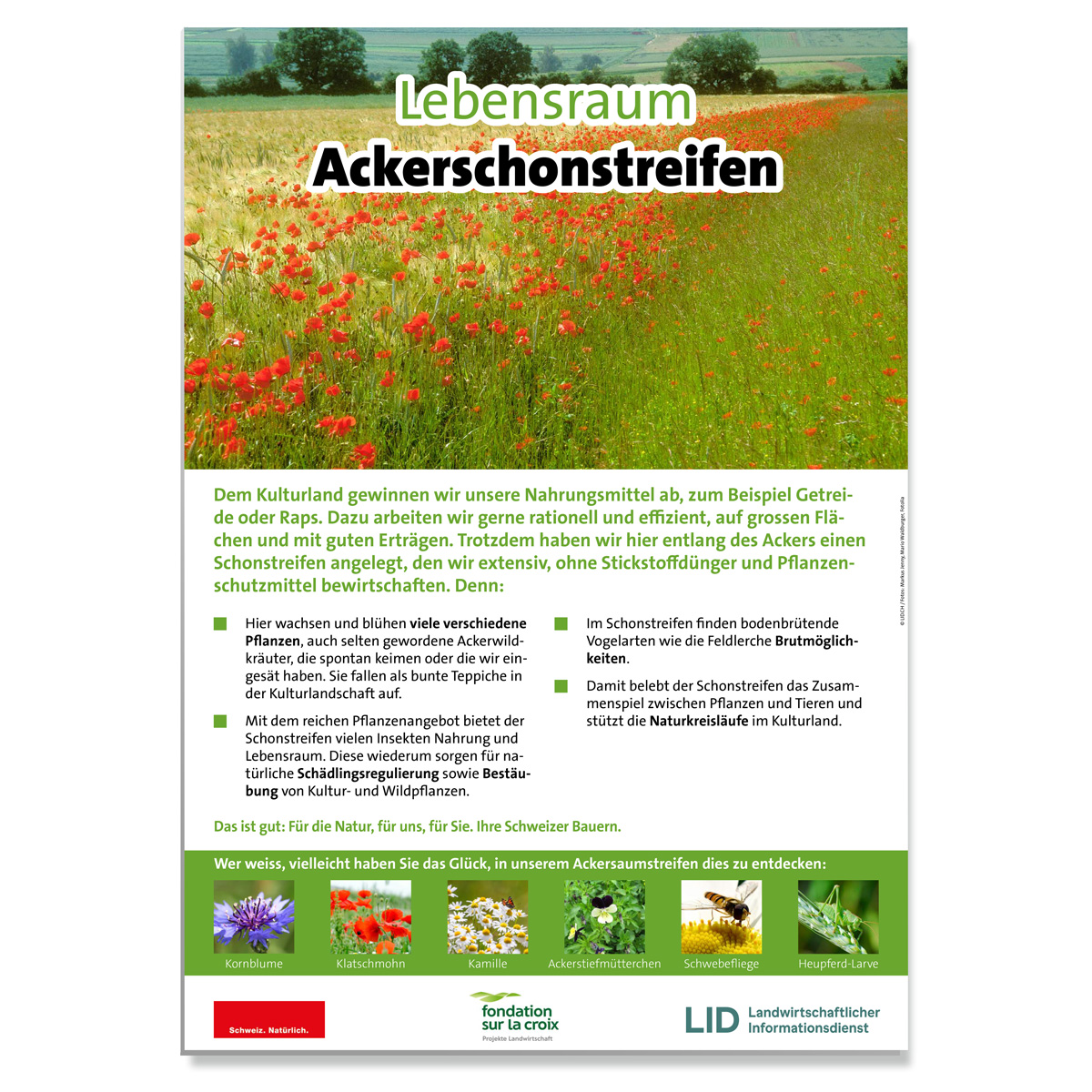 Erwarte Produktbild