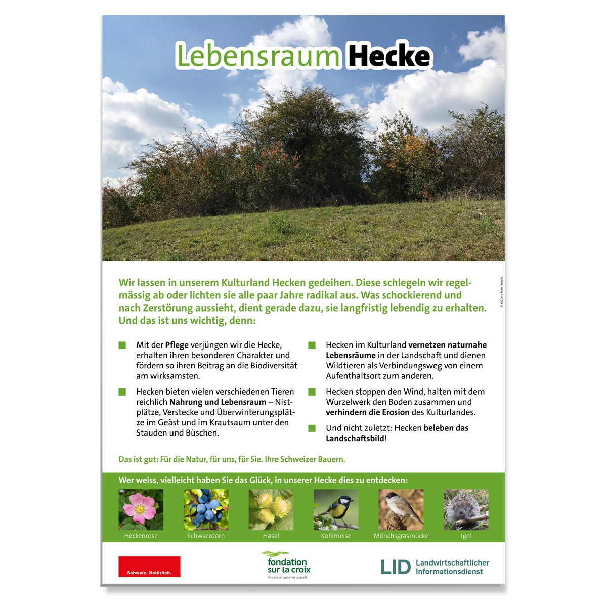 Erwarte Produktbild