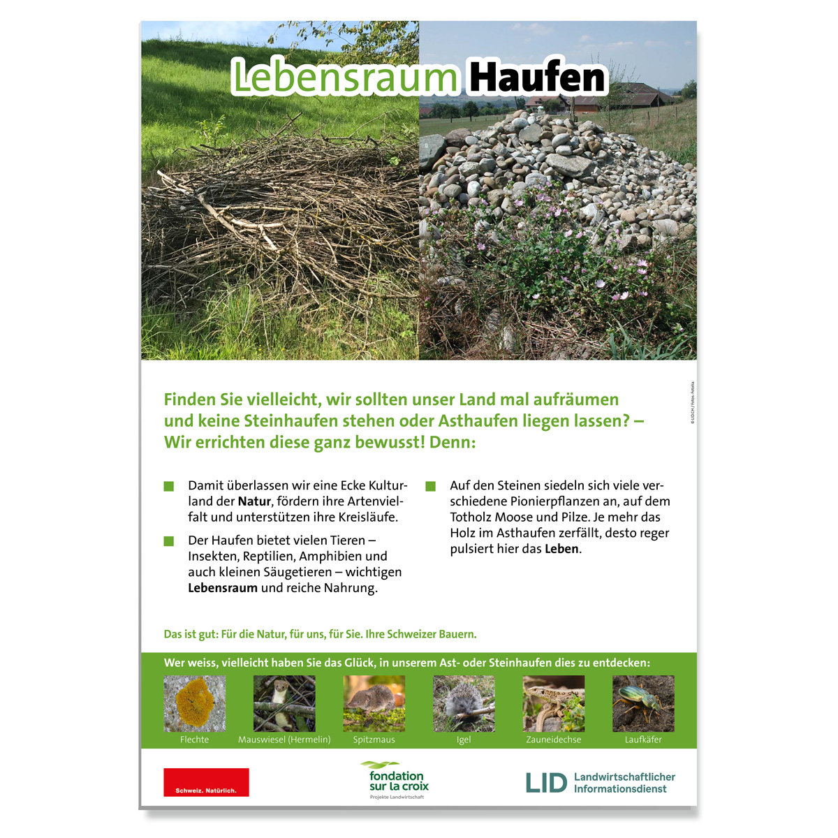 Erwarte Produktbild