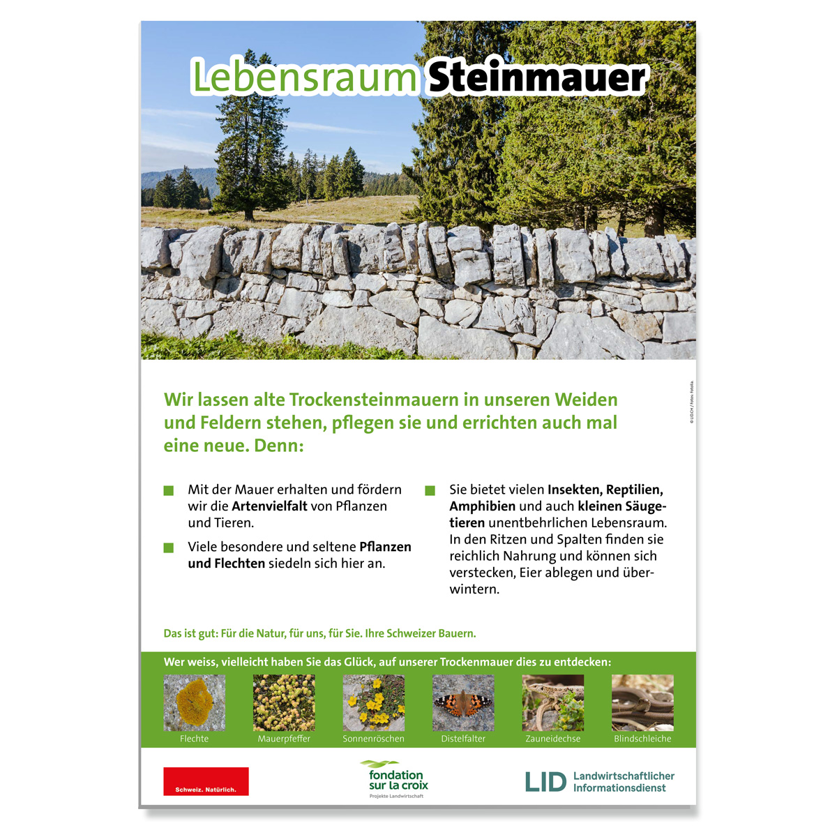 Erwarte Produktbild