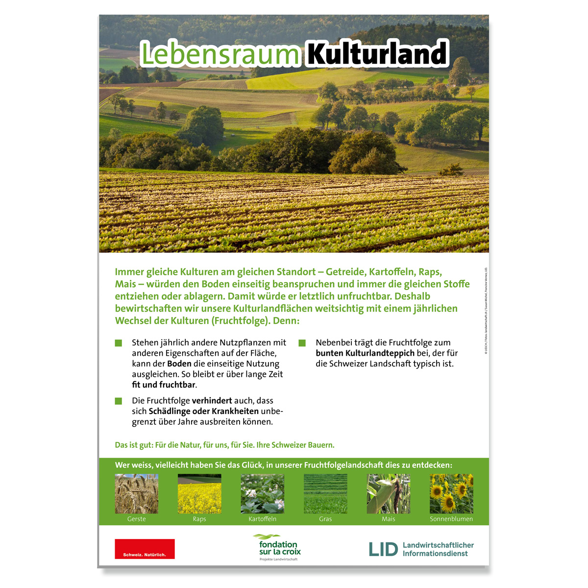 Erwarte Produktbild