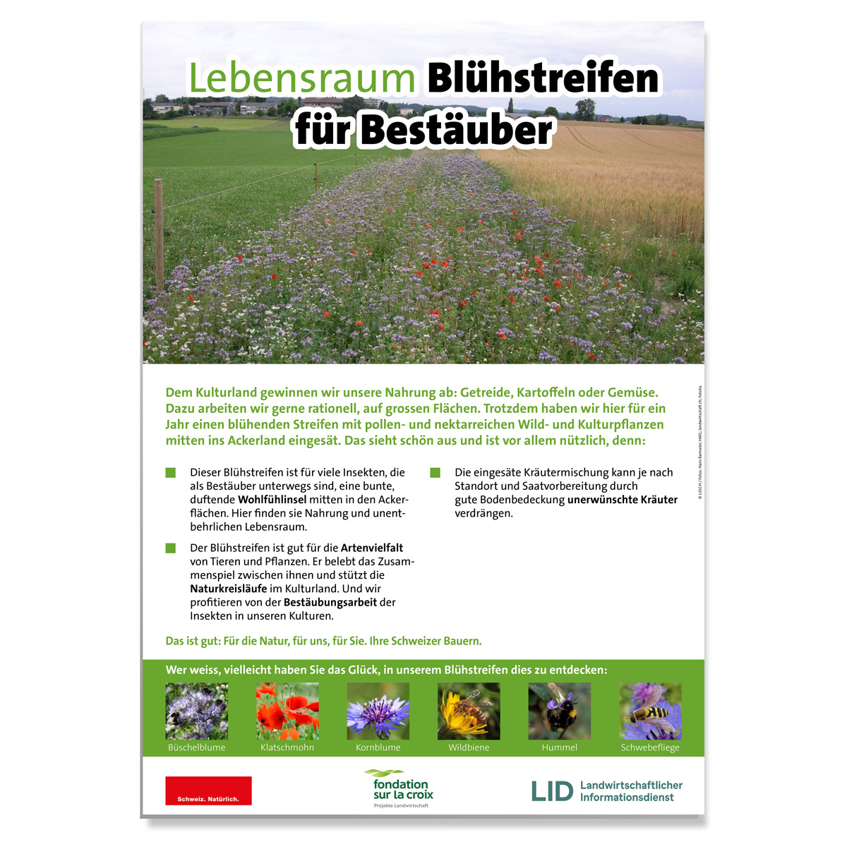 Erwarte Produktbild