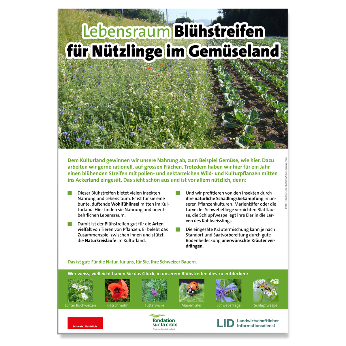 Erwarte Produktbild