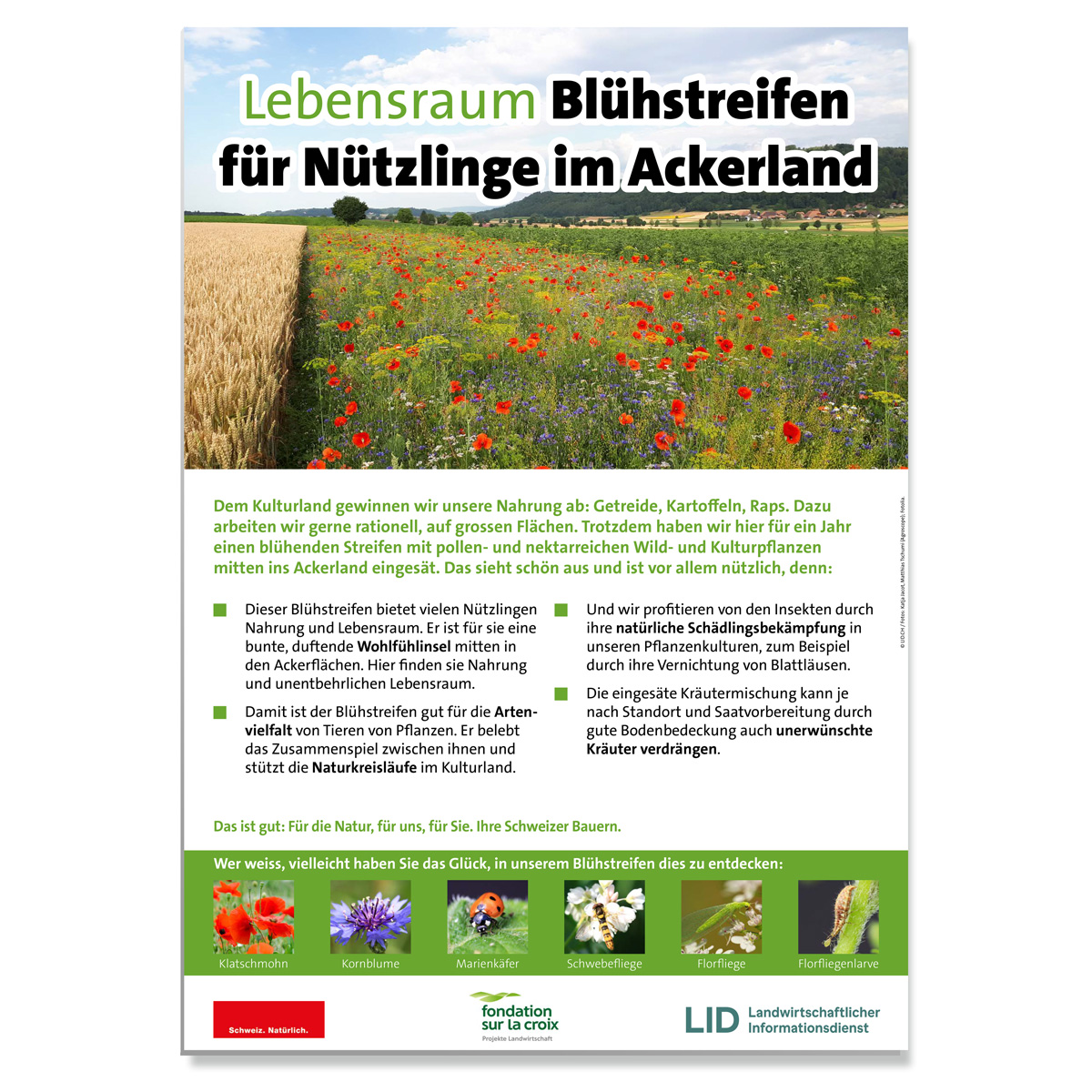 Erwarte Produktbild