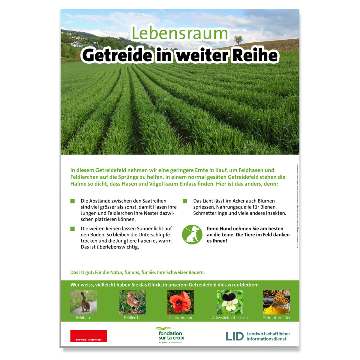 Erwarte Produktbild