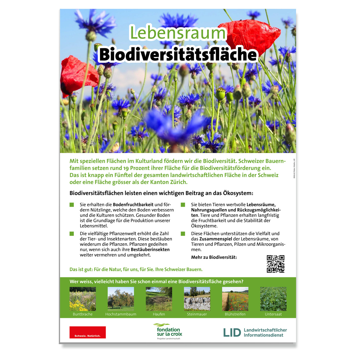 Erwarte Produktbild