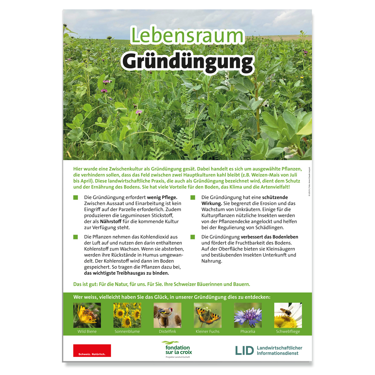 Erwarte Produktbild