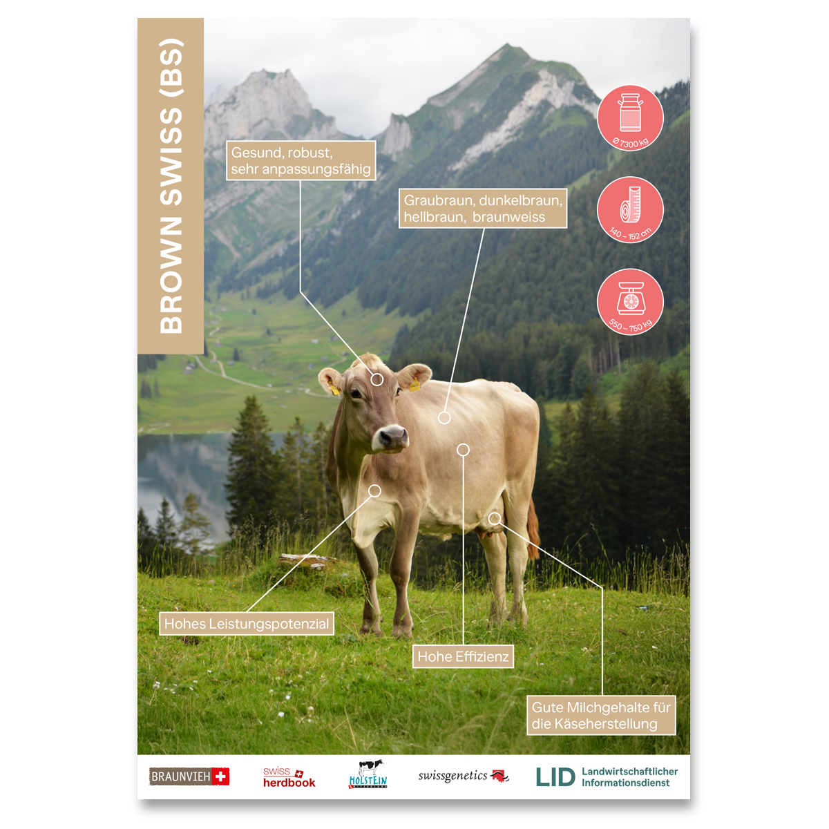 Erwarte Produktbild
