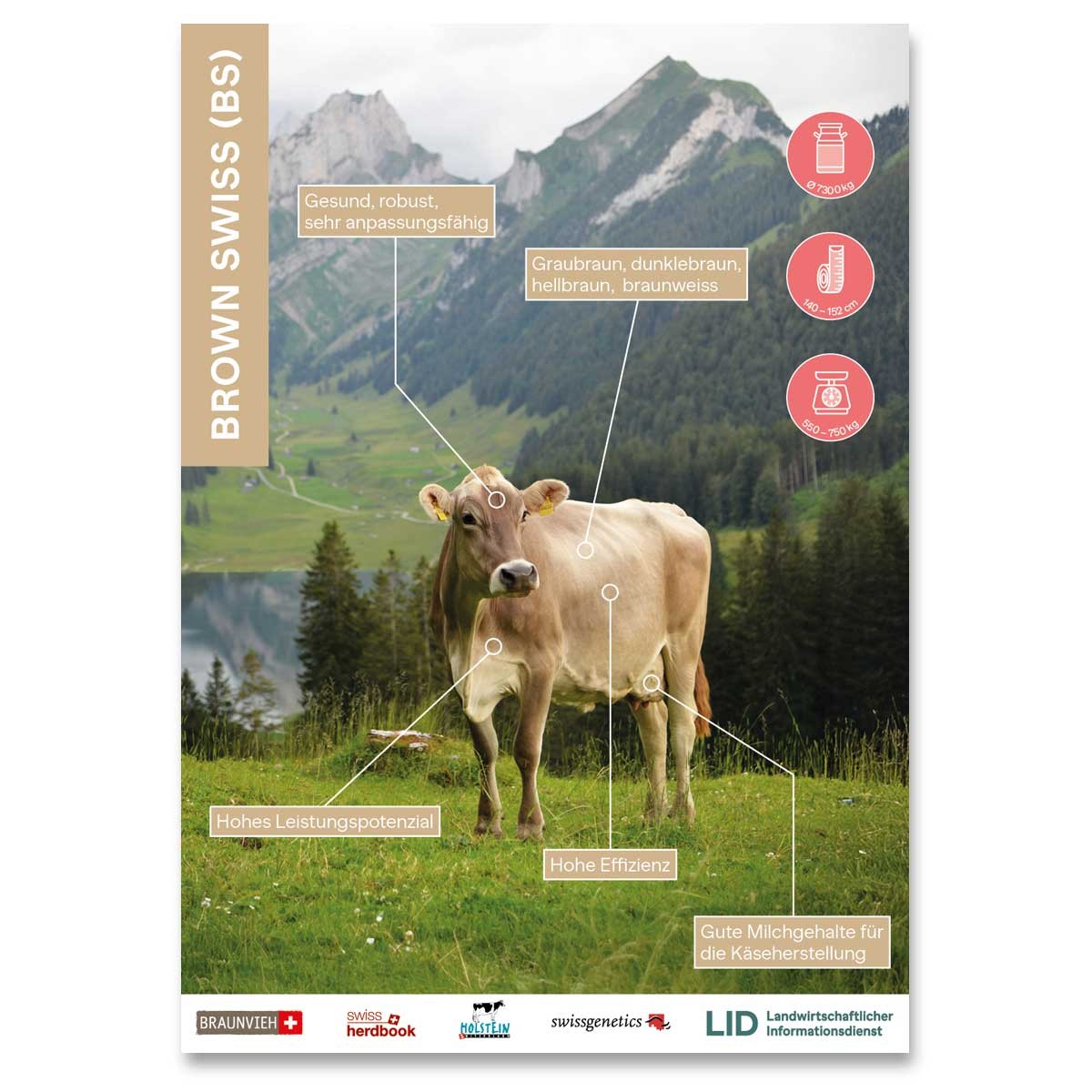 Erwarte Produktbild
